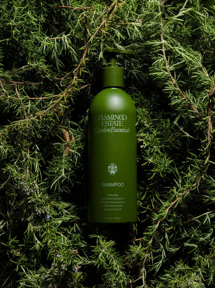 
                  
                    Rosemary & Ionian Bergamot Shampoo
                  
                